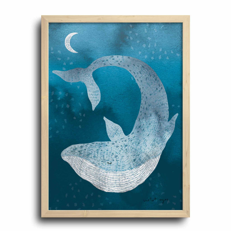 Ocean Dreamer