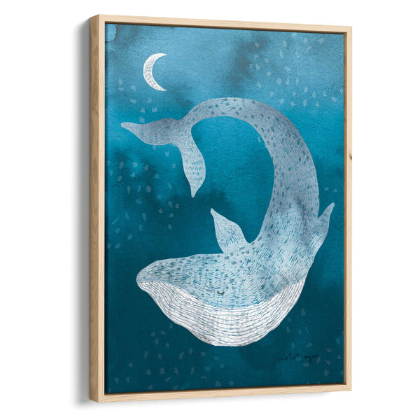 Ocean Dreamer